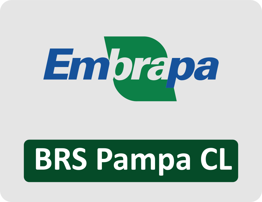 brs_pampa_cl-2