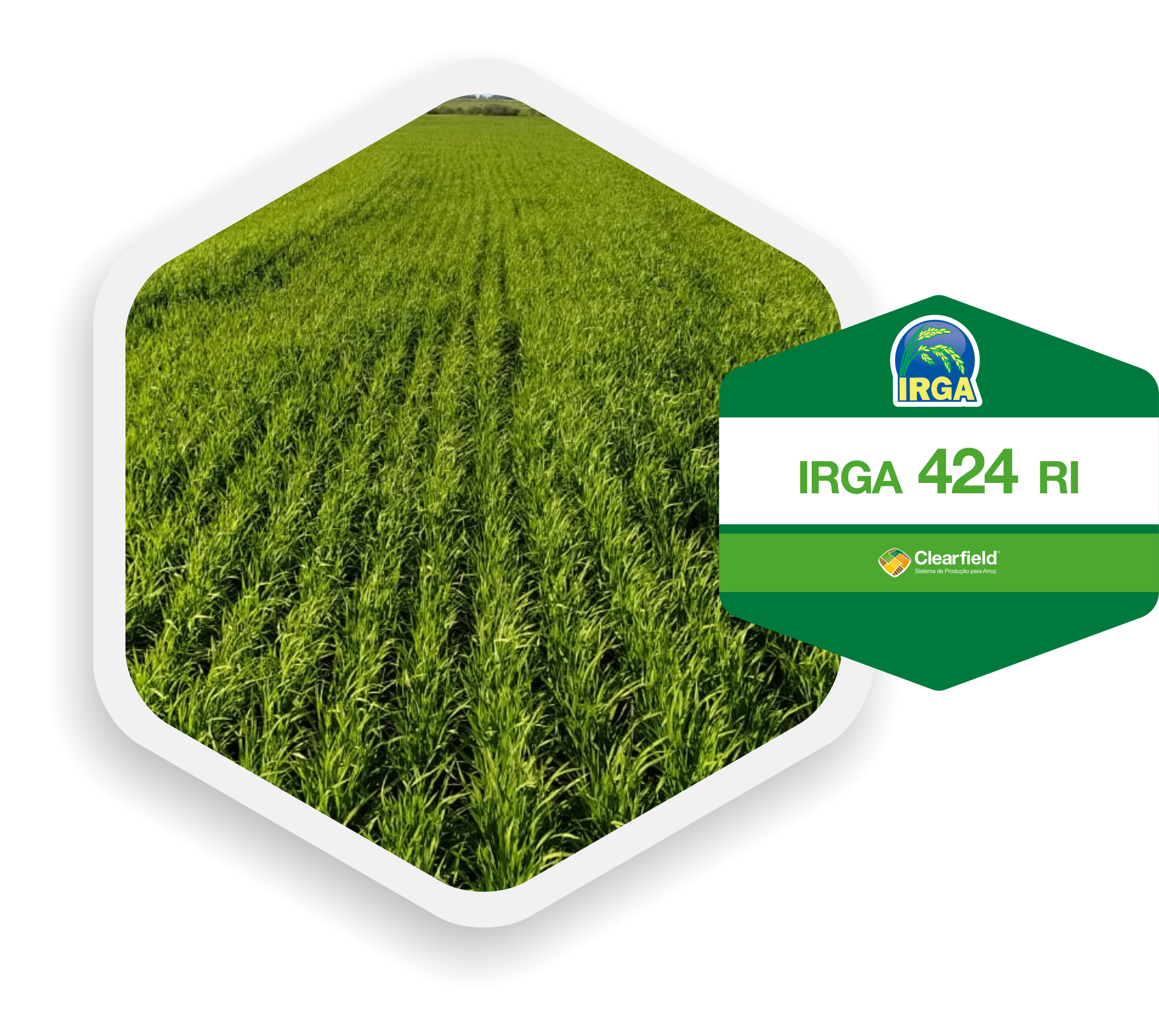 thedyagro_icon_IRGA_424_RI-11